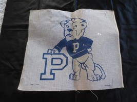 University of Pittsburgh ROC the PANTHER NEEDLEPOINT CANVAS - 20&quot; x 17-3/4&quot; - £19.18 GBP