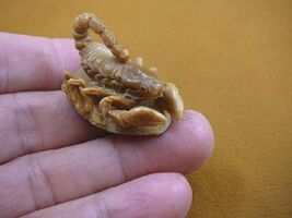 (tb-scorp-2) little tan scorpion Tagua NUT palm figurine Bali Scorpions - $54.59