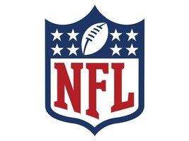 NFL Football Keychain Carabiner Aminco Choice of Teams - $8.19