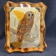 Vintage Hand Made Owl Picture Wood Plaque - Clear Polyurethane Covered -Hartwell - £11.09 GBP