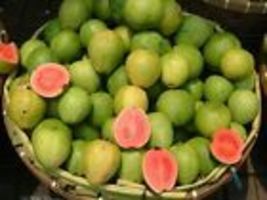 Pink Guava 10  Seeds Psidium guajava  - £8.64 GBP