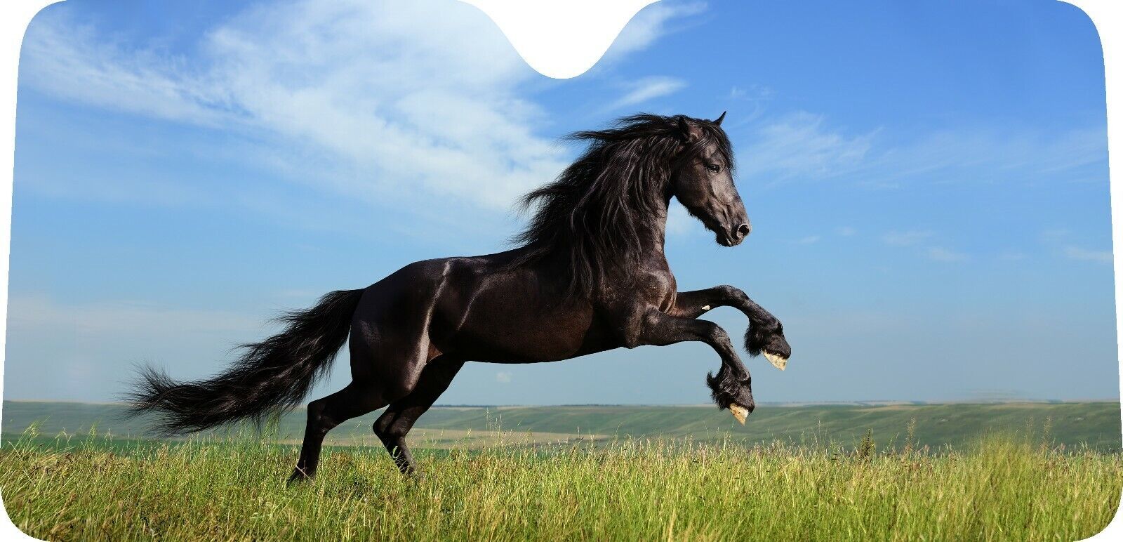 Fury Nice Horse  design car window Sun shade , made to order, select you... - $24.99