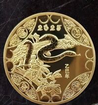 2025 Snake Year Zodiac Colorful Gold Commemorative Coin C-8 - $9.89