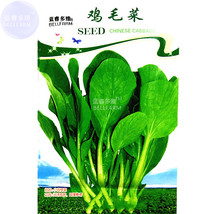 New Fresh Pterocladia Tenuis Chinese Little Greens Vegetable Seeds 500 Seeds Pac - £3.64 GBP