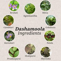 Dashamoola Powder 227g | 10 Dried Herbs Mix | Natural &amp; Pure | For Healt... - $20.28