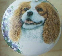 Ceramic Knobs w/ King Charles Spaniel #2 DOG - $4.46
