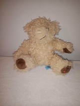 5 Inch Thompson Teddy Bear - £10.63 GBP