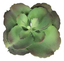 Pack of 6 Realistic Lifelike Artificial Lilacina Paddle Desert Plant Suc... - £87.16 GBP