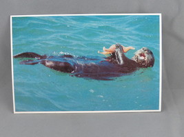 Vintage Postcard - Pacific Sea Otter - Royal - £11.99 GBP