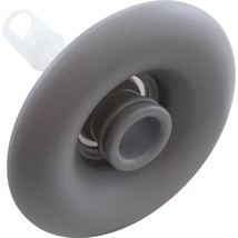 Pentair 9839WW 4.125&quot; FD Directional Jet Internal - Dark Gray - $19.25