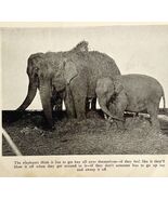 1930 Betty Bell Circus Print Elephant  Antique Carnival Ephemera 8 x 5 - $41.81 CAD