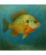 Sunfish Poster 18x18 – Vibrant Underwater Fish Artwork - $21.50