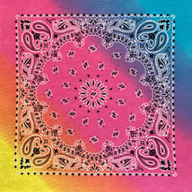 Carolina Creative Bandanna (Pastel Rainbow) Paisley Print 22&quot; x 22&quot; Hav-A-Hank - £5.56 GBP