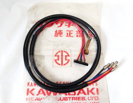 Kawasaki B1 F1 F2 F2TR F3 Switch Wiring harness LH Nos - $28.79