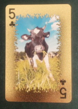 Animal-Themed Golden Foil PVC Mini Playing Card Cow 5 Clubs - $1.84