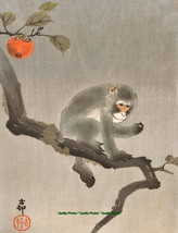 Monkey in Kaki Tree 8.5x11&quot; Photo Print Ohara Koson Japanese Fine Animal Art - £5.68 GBP