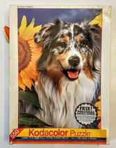 Kodacolor 550 piece Jigsaw Puzzle Shetland Sheepdog Blue Merle Sheltie C... - £12.38 GBP