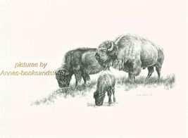 #175 BUFFALO with CALF * wildlife  art print *  pen &amp; ink drawing by Jan... - $12.38