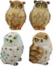 Ebros Peeking Colorful Nocturnal Fat Owls Miniature Figurine Set of 4 Whimsical - £16.03 GBP