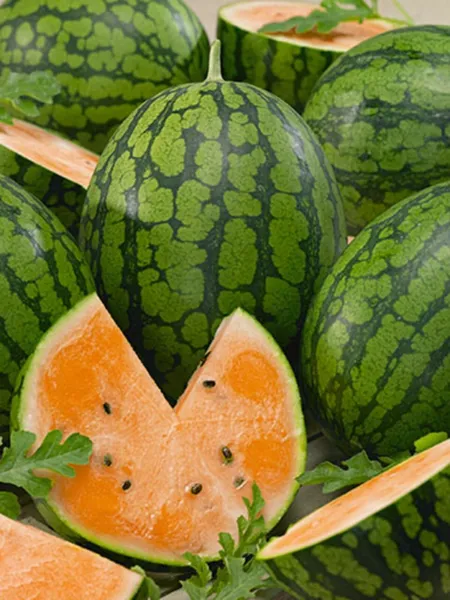 10 Tendersweet Orange Watermelon Sweet Juicy Fresh Seeds - £10.69 GBP