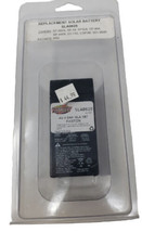 Interstate Batteries SLA0829 4V 4.6AH SLA 187 FASTON  Replacement Solar Battery - £70.24 GBP