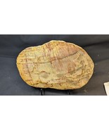 Petrified Wood Large Decorative Crystal Slice ≥9.0&quot; &amp; over 2.0 lb (Item #9) - $83.53 CAD