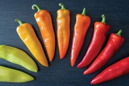 30 SEEDS HUNGARIAN HOT WAX PEPPER STEP-BY-STEP GUIDE INCLUDED WITH QUALITY  - $17.96