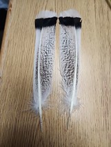 BV3 Pair Sweetgrass Turkey Tail Feather - £9.17 GBP