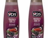 Alberto VO5 Blackberry Sage Tea with Herb Extract Shampoo  12.5 oz Lot of 2 - $15.79