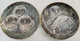 Baby Owls Collector Plates Short-Eared &amp; Great Grey Danbury Mint By Dick... - $23.38