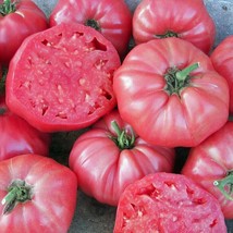 SEPT Pink Brandywine Tomato Seeds 50 Ct Vegetable Beefsteak Usa Indeterminate - $5.88