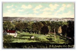 A Ranch In The Badlands North Dakota ND UNP DB Postcard W6 - £3.53 GBP