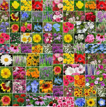 Wildflower Mix Landscaper’S Pack Bulk Top Sellers Non-Gmo Pure Seed 5000 Seeds - £12.33 GBP