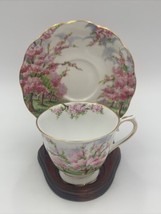 ROYAL ALBERT Blossom Time CUP AND SAUCER SET with Wooden Stand - £22.98 GBP