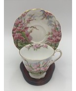 ROYAL ALBERT Blossom Time CUP AND SAUCER SET with Wooden Stand - £23.12 GBP