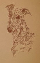 Greyhound Dog Art #267 By Stephen Kline Will Add Dogs Name Free Fawn Red Brindle - £38.91 GBP