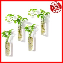 Elegant 4 Cylinder Glass Terrarium - Wall-Mounted Indoor Planter for Hyd... - $722.45 MXN