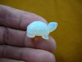 Y-TUR-LA-520) Little White Land Turtle Tortoise Figurine Gemstone Baby Turtles - £6.86 GBP