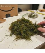 Artificial Green Sheet Moss, 3.5 oz Decorative Craft Moss for Centerpiec... - $210.36 MXN