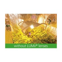 Lumii Growroom Lenses  - $4.00