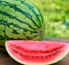 SGHOST  25 Crimson Sweet Watermelon Seeds USA Seller - £7.65 GBP