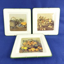 Square Plates Designed by Brunelli Made in Italy Fruit Veggie Motif 3 pc Vtg 10&quot; - £62.46 GBP