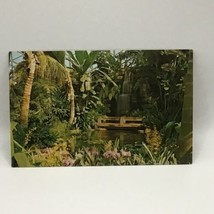 Tropical House In Mitchell Park Milwaukee Vintage Postcard - $6.92