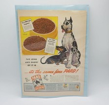 Pard Dog Food Dachshund Great Dane Magazine Ad Print Design Advertising - $27.71