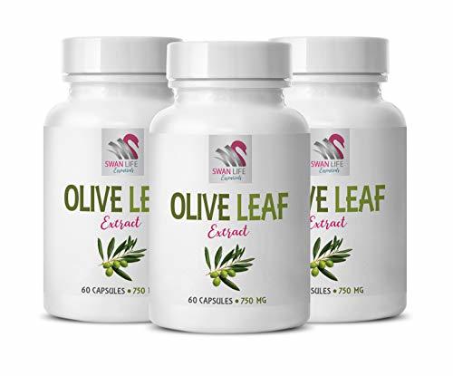 Primary image for Protects Central Nervous System- Olive Leaf Extract 750mg - antioxidant Compound
