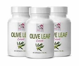 Protects Central Nervous System- Olive Leaf Extract 750mg - antioxidant ... - £31.69 GBP