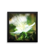 Framed Art Flower Poster - Ready To Hang Picture - Wall Decor - $47.22 CAD