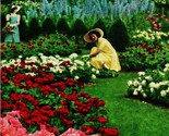 Jackson &amp; Perkins Rose Garden Delphinium Newark New York NY 1910s UNP Po... - $13.32