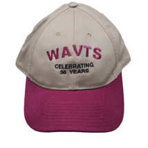 Wavts Celebrating 30 Years Snapback Dads trucker hat cap - $10.23