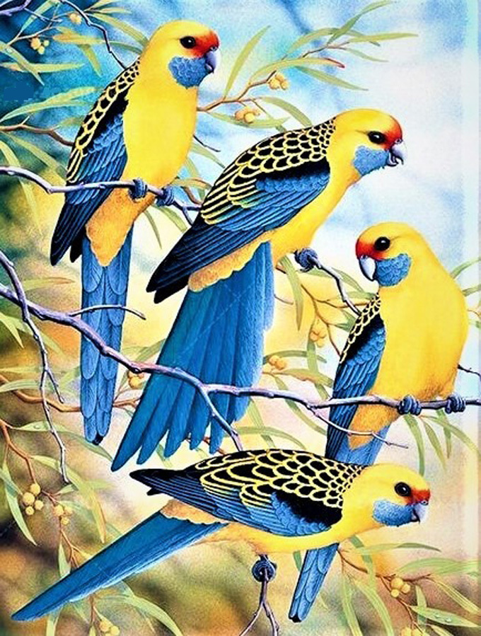 Primary image for Colorful Parakeets Cross Stitch Pattern***LOOK***